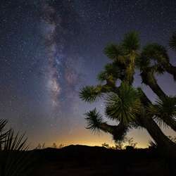 eboy's Chat & Dating Profile